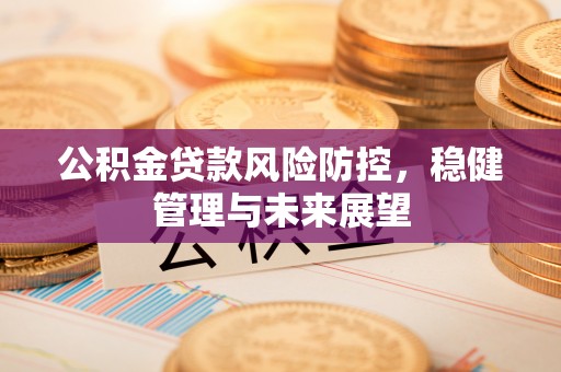 舞阳公积金贷款风险防控，稳健管理与未来展望