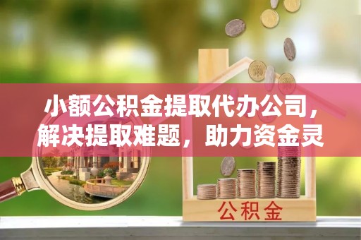 舞阳小额公积金提取代办公司，解决提取难题，助力资金灵活使用