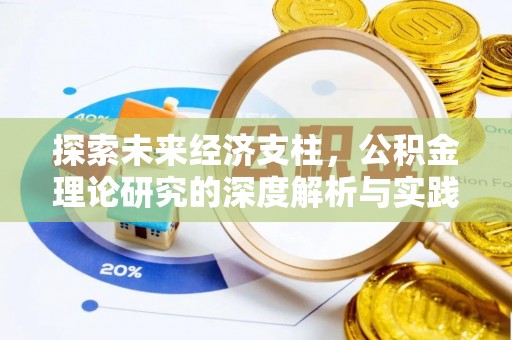 舞阳探索未来经济支柱，公积金理论研究的深度解析与实践意义