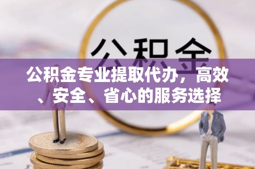 舞阳公积金专业提取代办，高效、安全、省心的服务选择