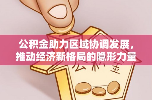 舞阳公积金助力区域协调发展，推动经济新格局的隐形力量