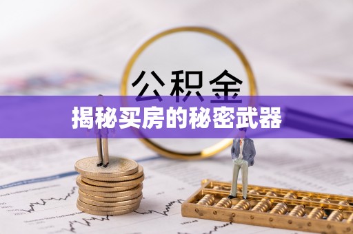 舞阳揭秘买房的秘密武器