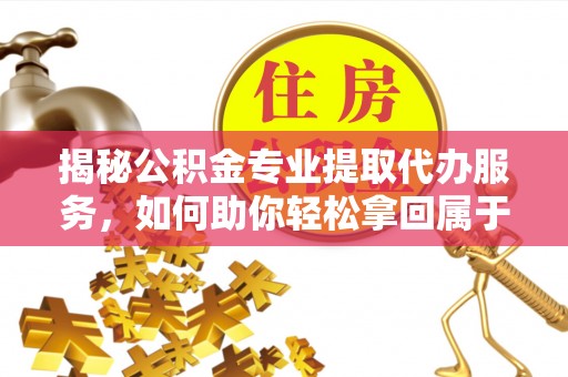 舞阳揭秘公积金专业提取代办服务，如何助你轻松拿回属于你的资金