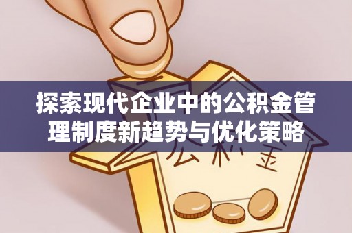 舞阳探索现代企业中的公积金管理制度新趋势与优化策略