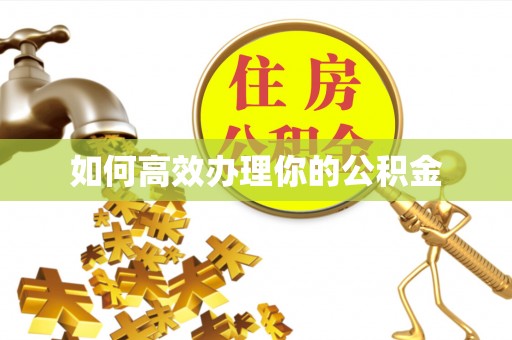 舞阳如何高效办理你的公积金