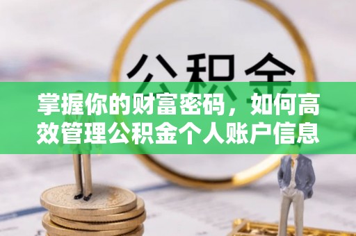 舞阳掌握你的财富密码，如何高效管理公积金个人账户信息