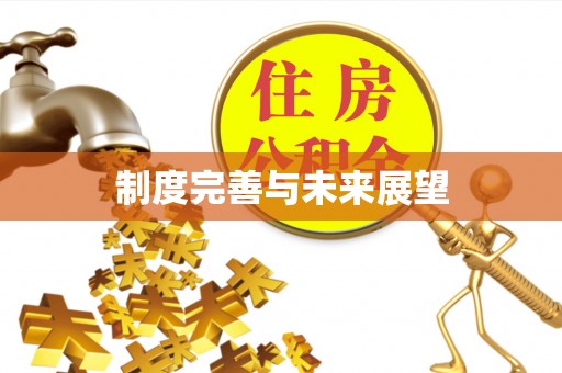 舞阳制度完善与未来展望