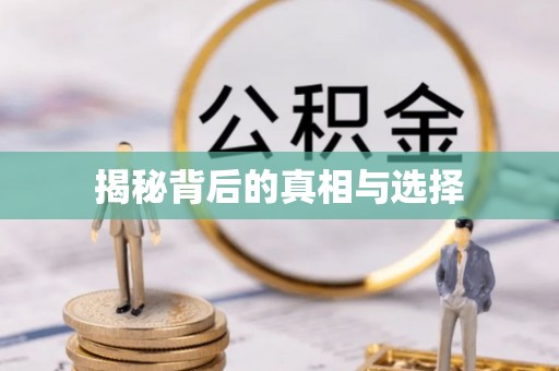 舞阳揭秘背后的真相与选择