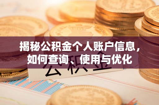 舞阳揭秘公积金个人账户信息，如何查询、使用与优化