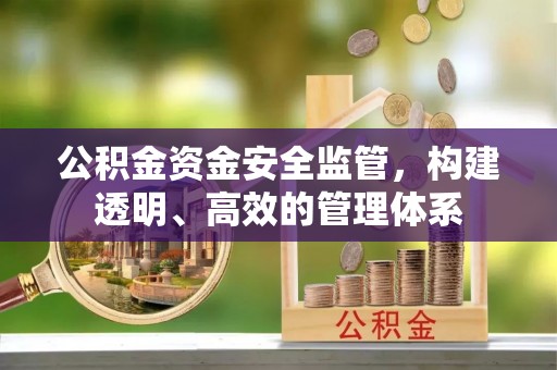 舞阳公积金资金安全监管，构建透明、高效的管理体系