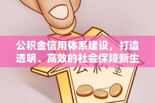 舞阳公积金信用体系建设，打造透明、高效的社会保障新生态