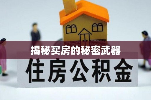 舞阳揭秘买房的秘密武器