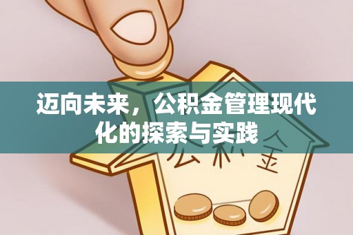 舞阳迈向未来，公积金管理现代化的探索与实践