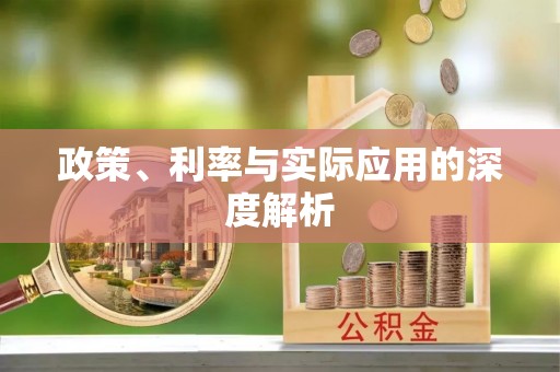舞阳政策、利率与实际应用的深度解析