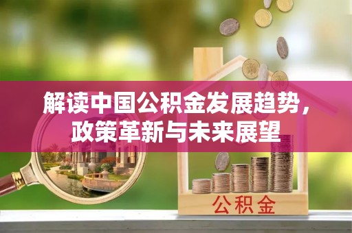舞阳解读中国公积金发展趋势，政策革新与未来展望