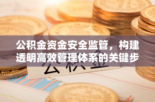 舞阳公积金资金安全监管，构建透明高效管理体系的关键步骤