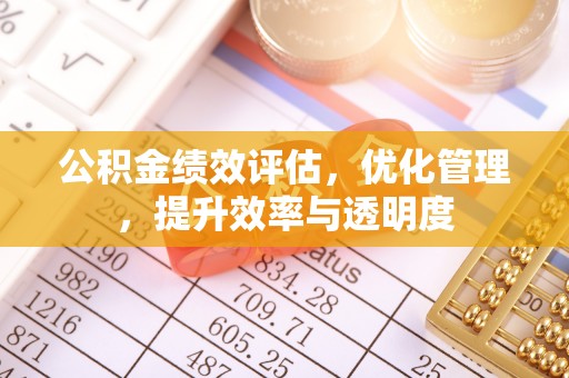 舞阳公积金绩效评估，优化管理，提升效率与透明度