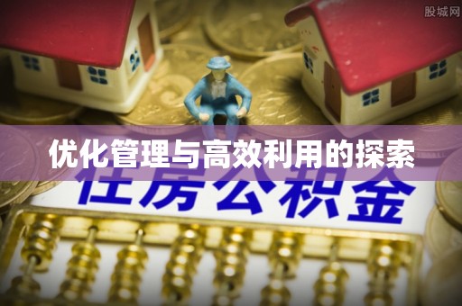 舞阳优化管理与高效利用的探索