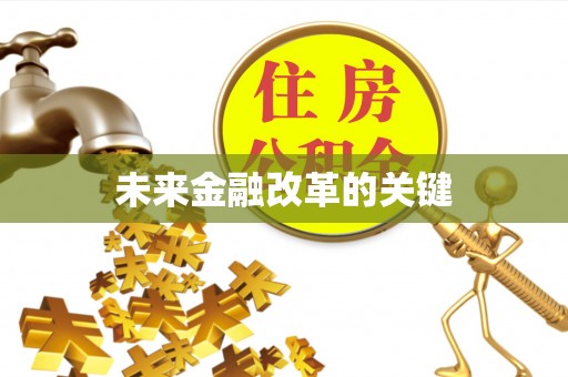 舞阳未来金融改革的关键