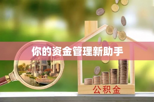 舞阳你的资金管理新助手