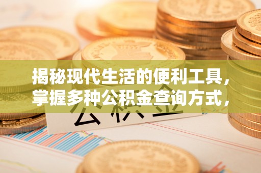 舞阳揭秘现代生活的便利工具，掌握多种公积金查询方式，让财富管理更轻松