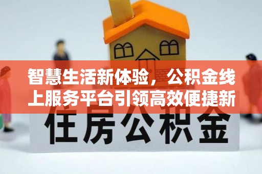 舞阳智慧生活新体验，公积金线上服务平台引领高效便捷新时代