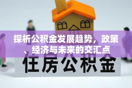舞阳探析公积金发展趋势，政策、经济与未来的交汇点