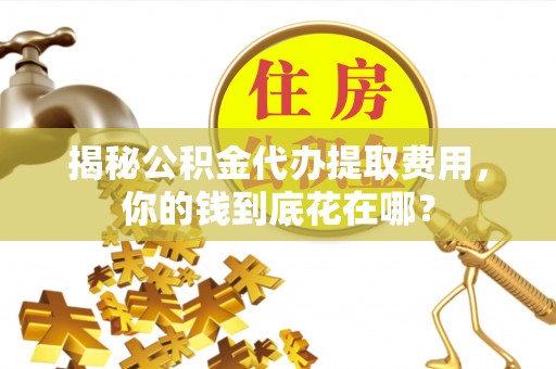 舞阳揭秘公积金代办提取费用，你的钱到底花在哪？