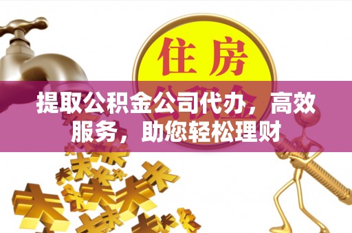 舞阳提取公积金公司代办，高效服务，助您轻松理财