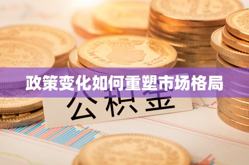 舞阳政策变化如何重塑市场格局
