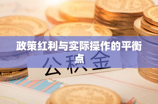 舞阳政策红利与实际操作的平衡点
