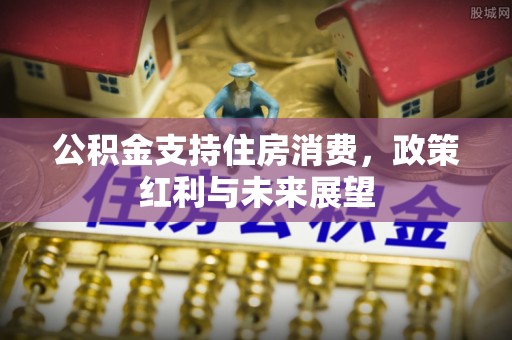 舞阳公积金支持住房消费，政策红利与未来展望