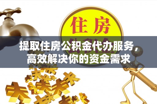 舞阳提取住房公积金代办服务，高效解决你的资金需求