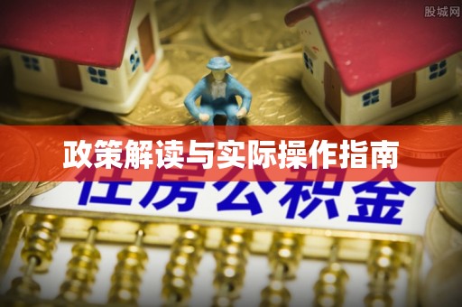 舞阳政策解读与实际操作指南