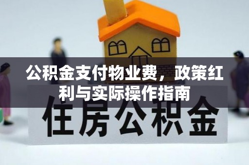 舞阳公积金支付物业费，政策红利与实际操作指南