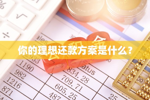 舞阳你的理想还款方案是什么？