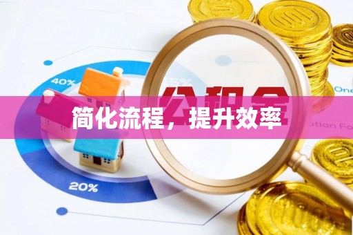 舞阳简化流程，提升效率