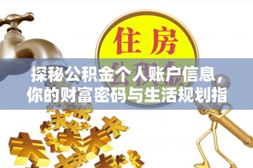 舞阳探秘公积金个人账户信息，你的财富密码与生活规划指南