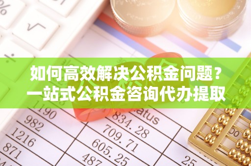 舞阳如何高效解决公积金问题？一站式公积金咨询代办提取服务全解析