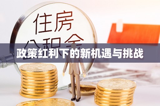 舞阳政策红利下的新机遇与挑战