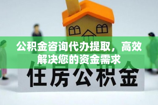 舞阳公积金咨询代办提取，高效解决您的资金需求