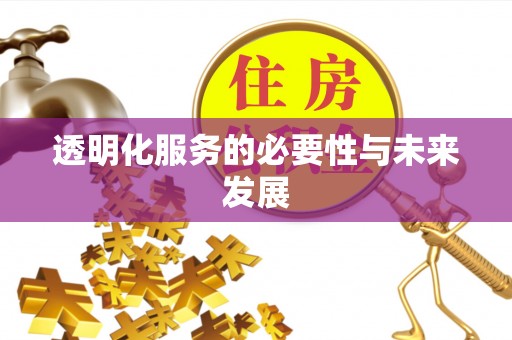 舞阳透明化服务的必要性与未来发展