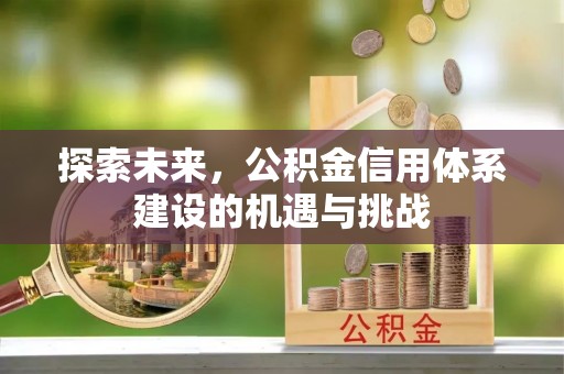 舞阳探索未来，公积金信用体系建设的机遇与挑战