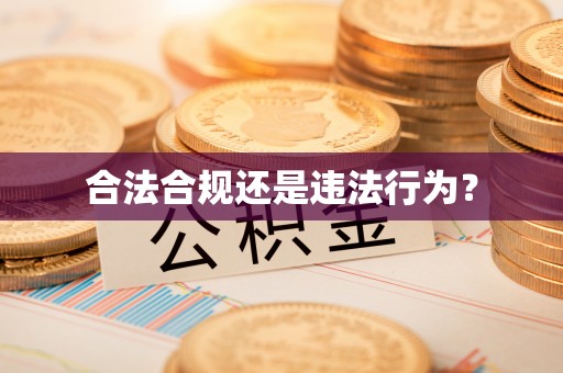 舞阳合法合规还是违法行为？