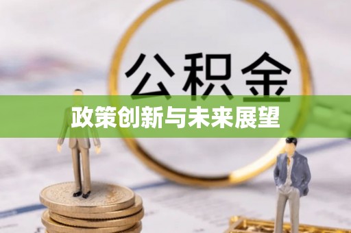 舞阳政策创新与未来展望