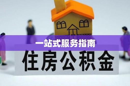 舞阳一站式服务指南