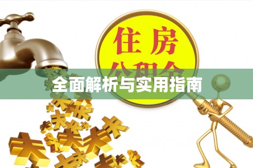 舞阳全面解析与实用指南