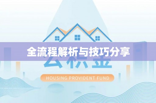 舞阳全流程解析与技巧分享