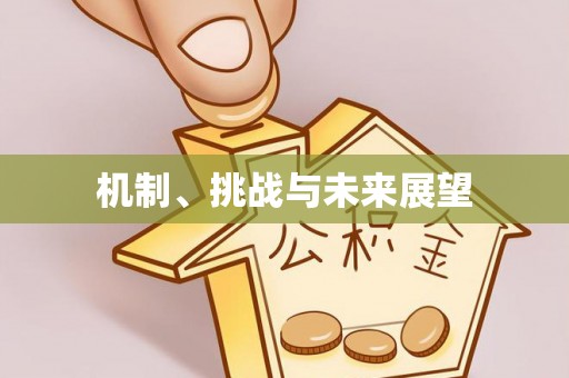 舞阳机制、挑战与未来展望